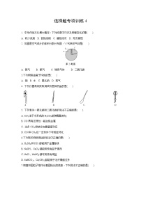 试卷 2021年中考化学专题复习：选择题专项训练4(word版，含答案)