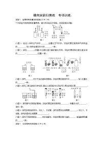 试卷 2021年中考化学专题复习  横向实验归类练专项训练