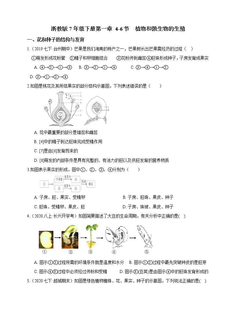 试卷 浙教版7年级下册第一章代代相传的生命4-6节02植物和微生物的生殖（含答案）第1页