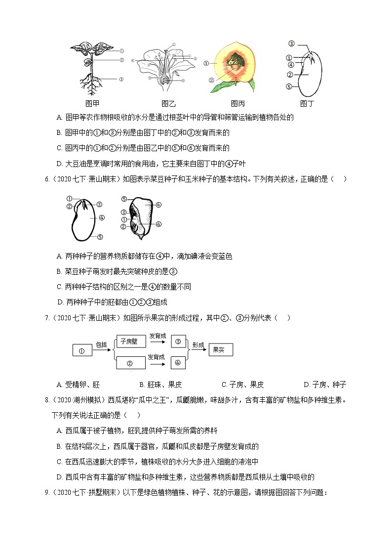 试卷 浙教版7年级下册第一章代代相传的生命4-6节02植物和微生物的生殖（含答案）第2页