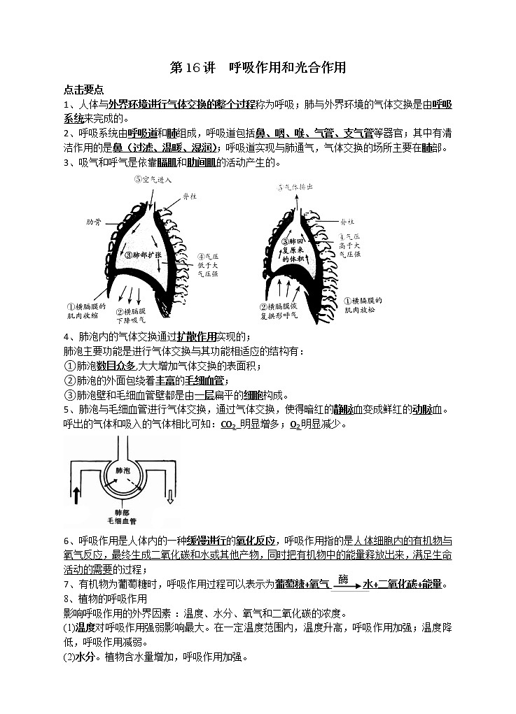 教案 八年级春季第16讲  呼吸作用和光合作用01