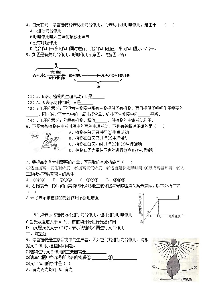 教案 八年级春季第16讲  呼吸作用和光合作用03