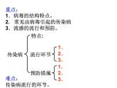 课件 2020-2021学年浙教版九年级科学下册3.2来自微生物的威胁(第3课时)课件