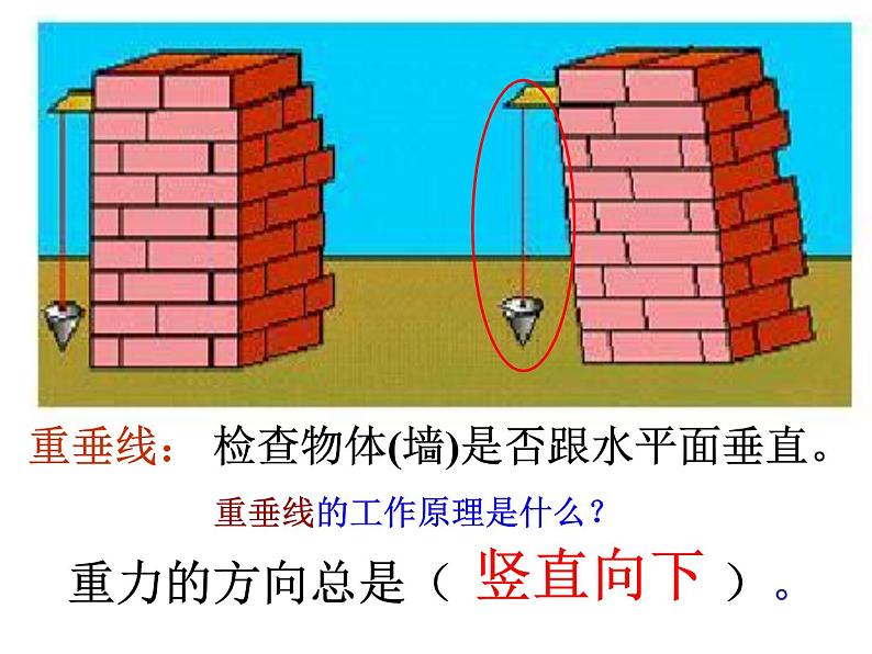 课件 3.3 重力—2020-2021学年浙教版七年级科学下册课件第5页