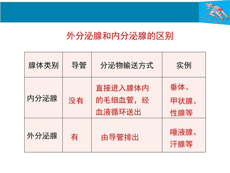 初中科学八年级上3.2 激素调节课件（41张PPT）第6页