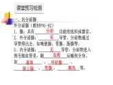 初中科学八年级上3.2 激素调节课件（22张PPT）