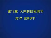 初中科学八年级上3.2 激素调节课件（24张PPT）