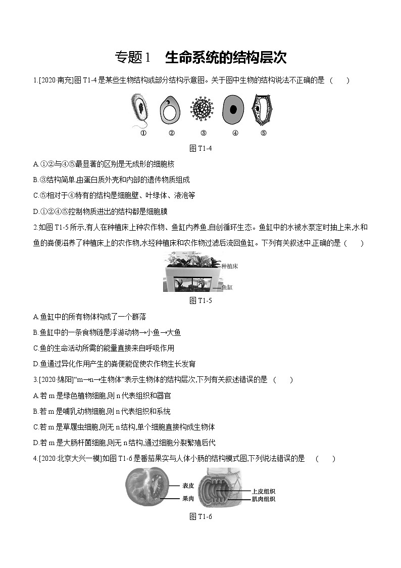 2021年浙教版科学中考生物部分专题突破专题01　生命系统的结构层次第1页