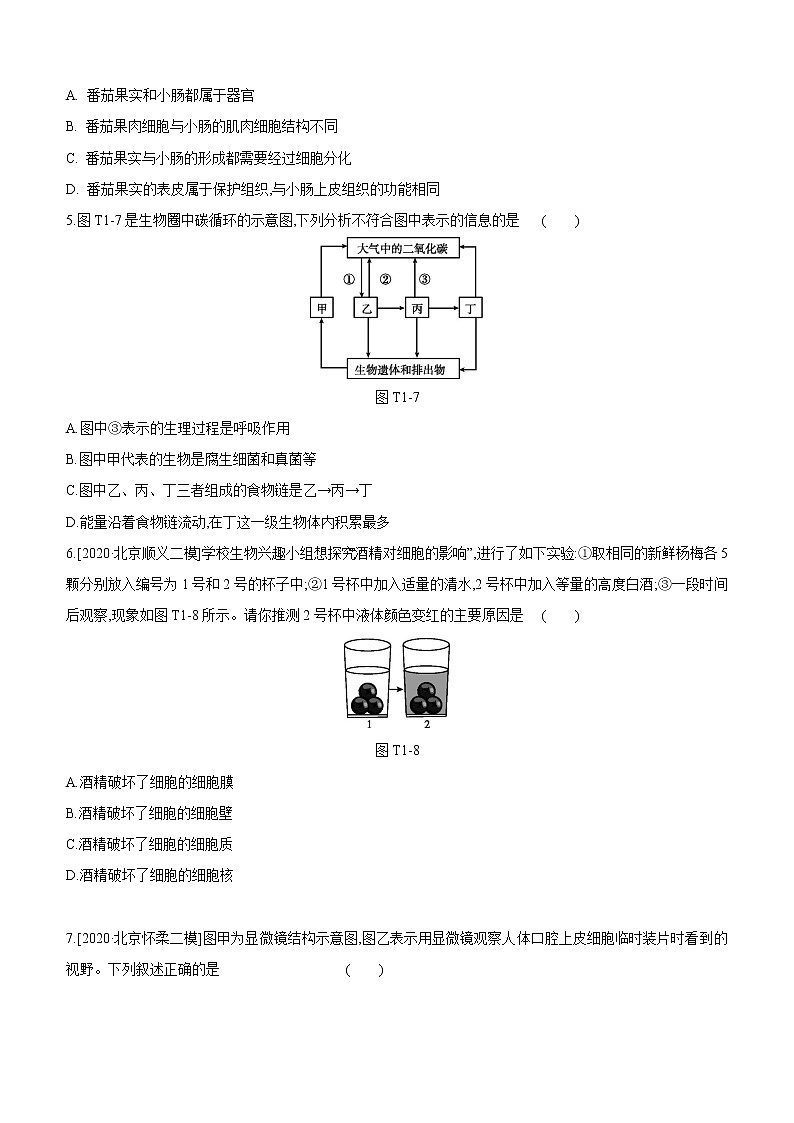 2021年浙教版科学中考生物部分专题突破专题01　生命系统的结构层次第2页