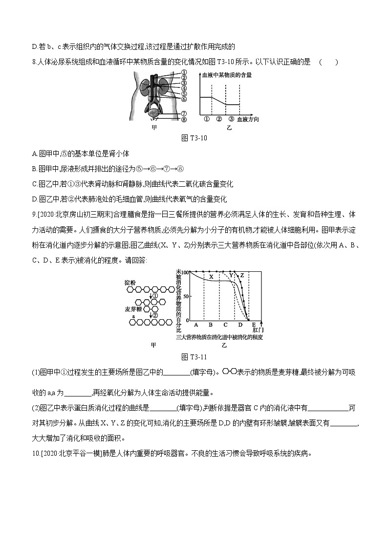2021年浙教版科学中考生物部分专题突破专题03　人体的物质和能量转换第3页