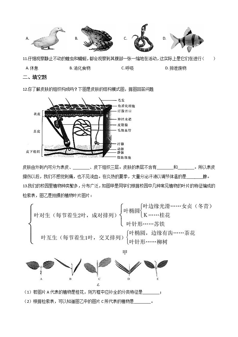 2021年初中科学二轮复习专题01：多种多样的生物 (含解析)第3页