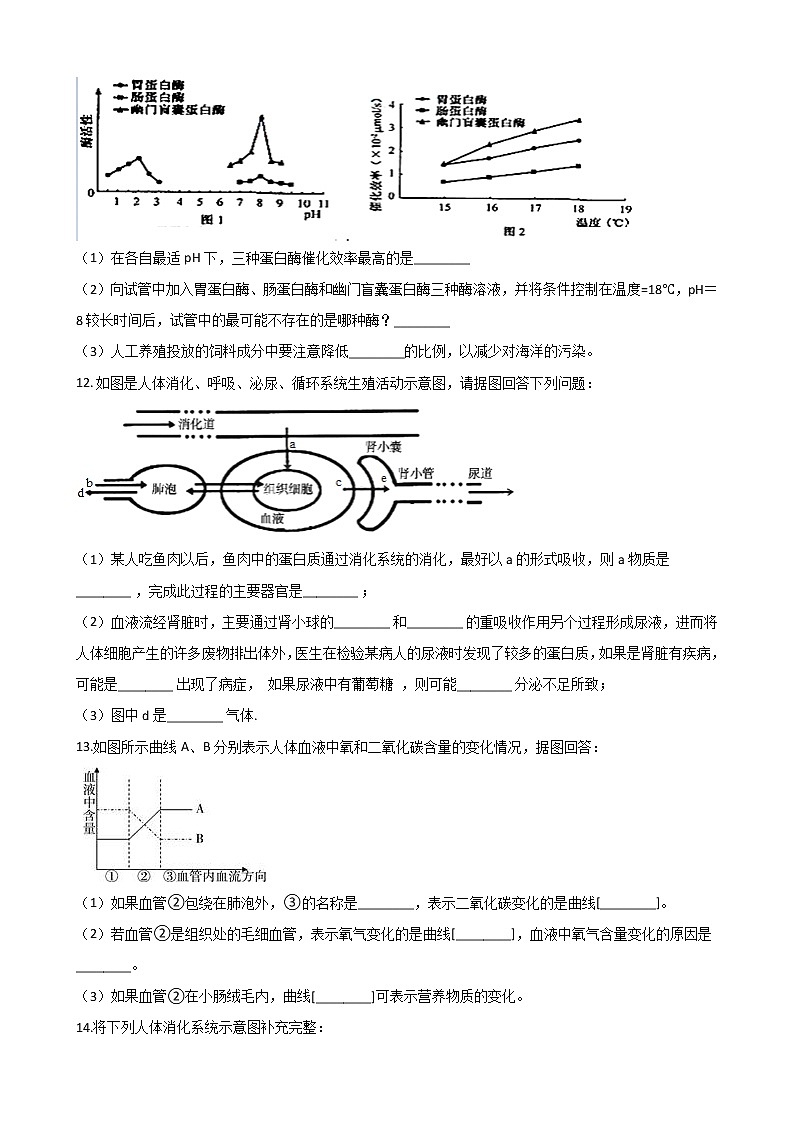 2021年初中科学二轮复习专题06：呼吸和消化 (含解析)第3页