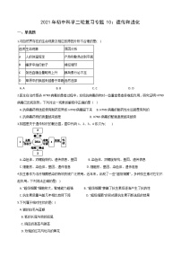 2021年初中科学二轮复习专题10：遗传和进化 (含解析)