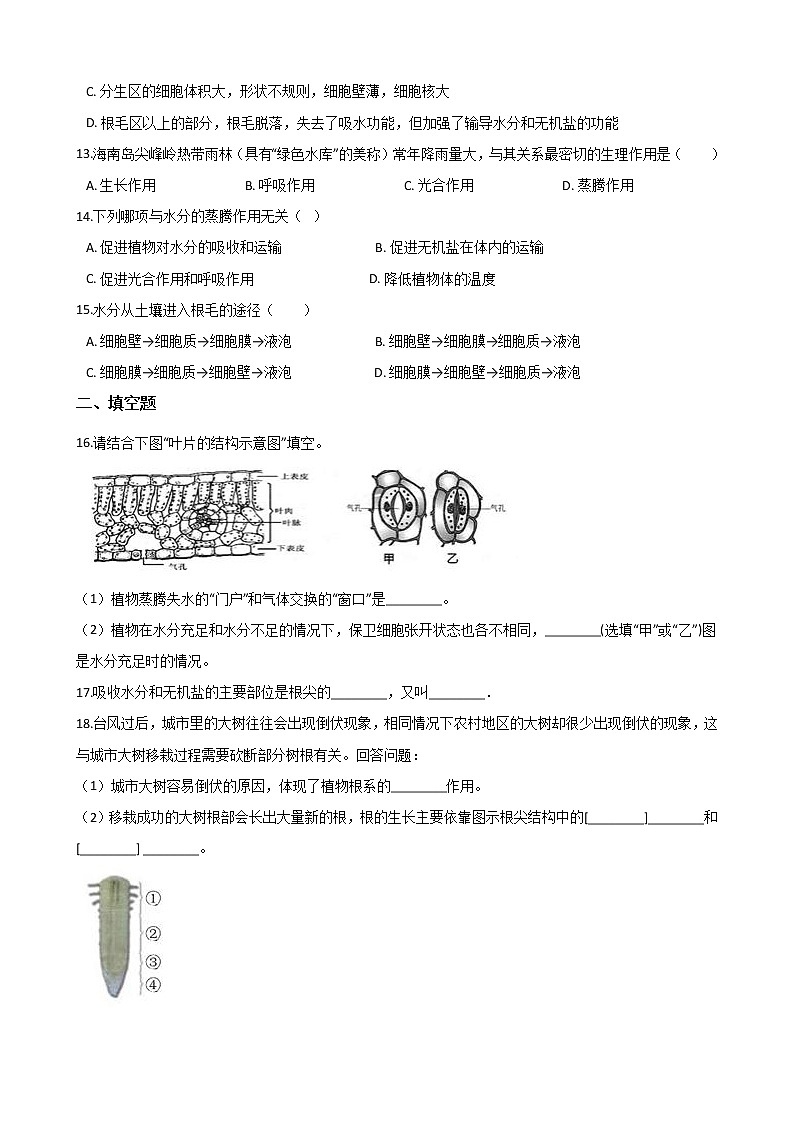 2021年初中科学二轮复习专题05：绿色植物的水和无机盐代谢 (含解析)第3页