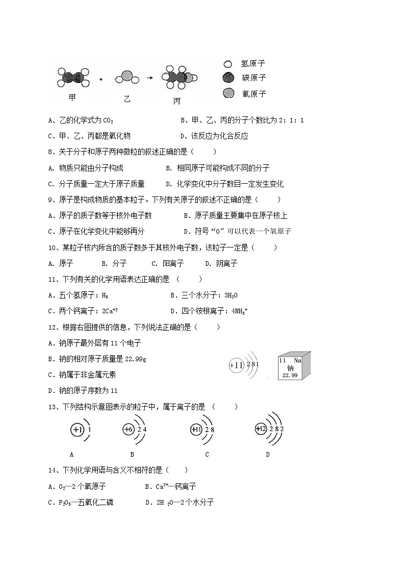 专题06物质的组成、化学式  练习—2021年中考科学华东师大版二轮专题巩固02