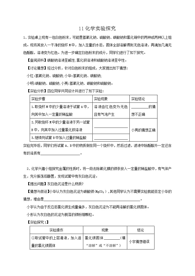 专题11化学实验探究  练习—2021年中考科学华东师大版二轮专题巩固01