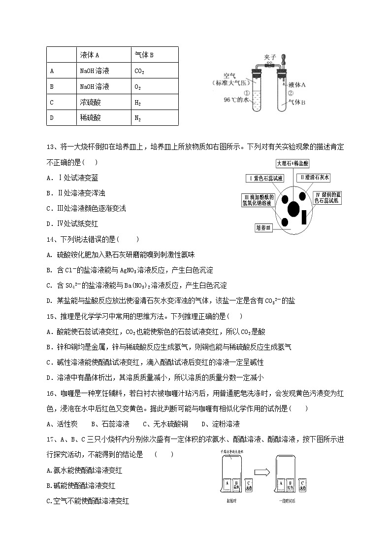 专题07酸碱盐及其性质  练习—2021年中考科学华东师大版二轮专题巩固03