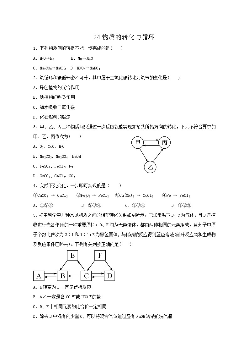 专题24物质的转化与循环 练习—2021年中考科学华东师大版二轮专题巩固01