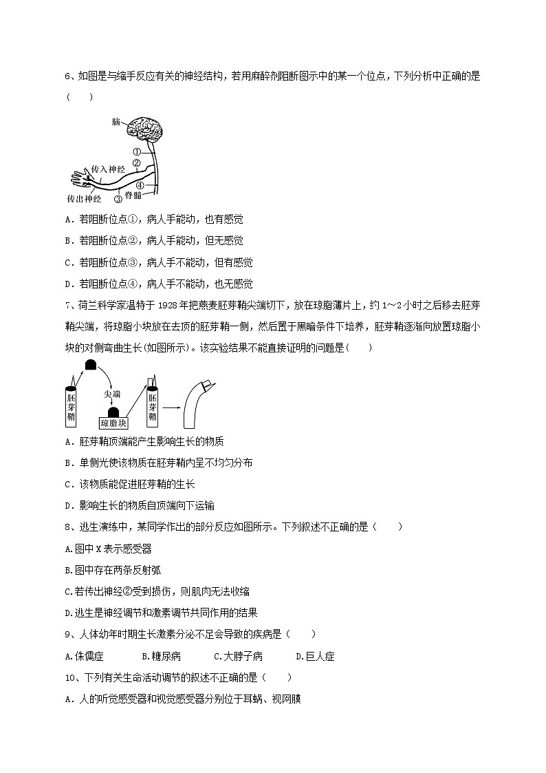 专题04生命活动的调节  练习—2021年中考科学华东师大版二轮专题巩固02