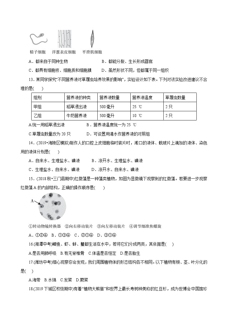 7年级上册 第02章 观察生物（单元综合测试）（学生版）03