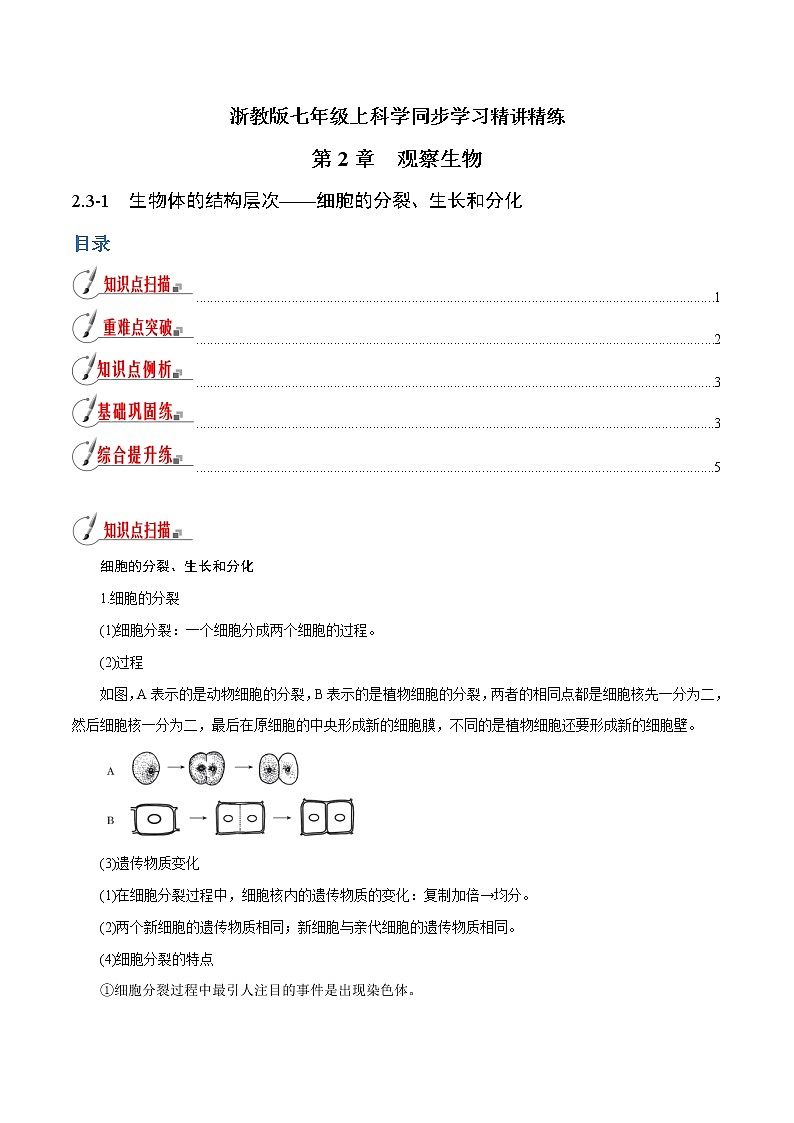 【精品讲义】浙教版 科学 7年级上册 2.3.1 生物体的结构层次——细胞的分裂、生长和分化（教师版+学生版）01