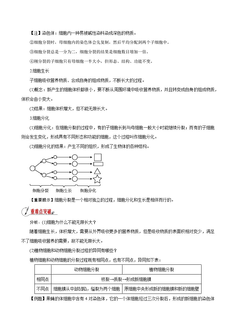 【精品讲义】浙教版 科学 7年级上册 2.3.1 生物体的结构层次——细胞的分裂、生长和分化（教师版+学生版）02
