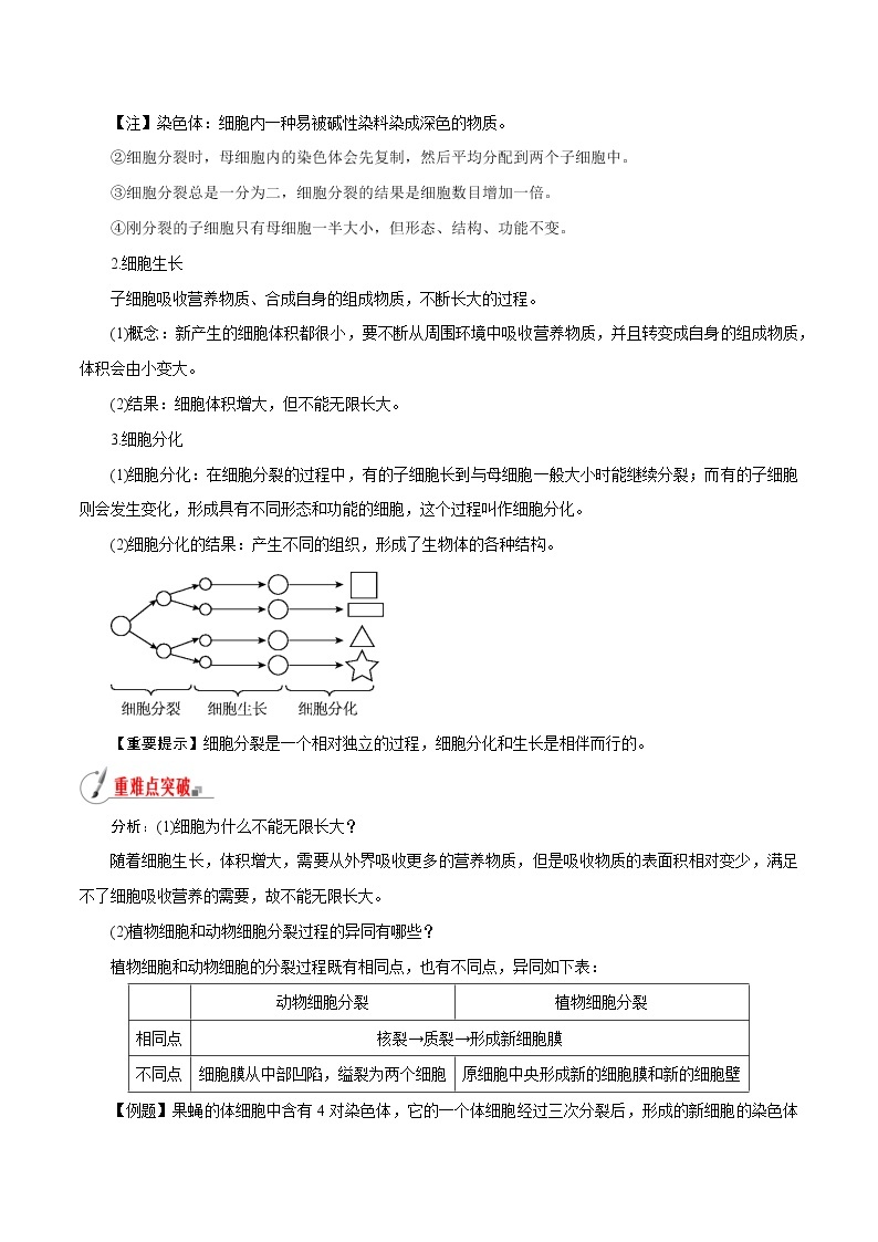 【精品讲义】浙教版 科学 7年级上册 2.3.1 生物体的结构层次——细胞的分裂、生长和分化（教师版+学生版）02