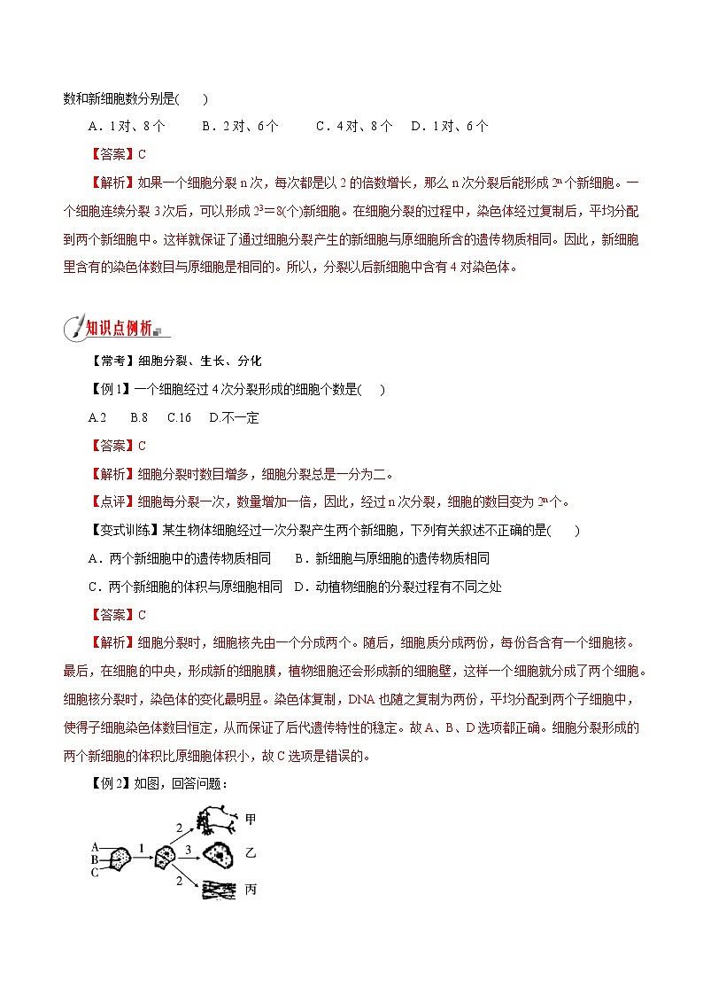 【精品讲义】浙教版 科学 7年级上册 2.3.1 生物体的结构层次——细胞的分裂、生长和分化（教师版+学生版）03