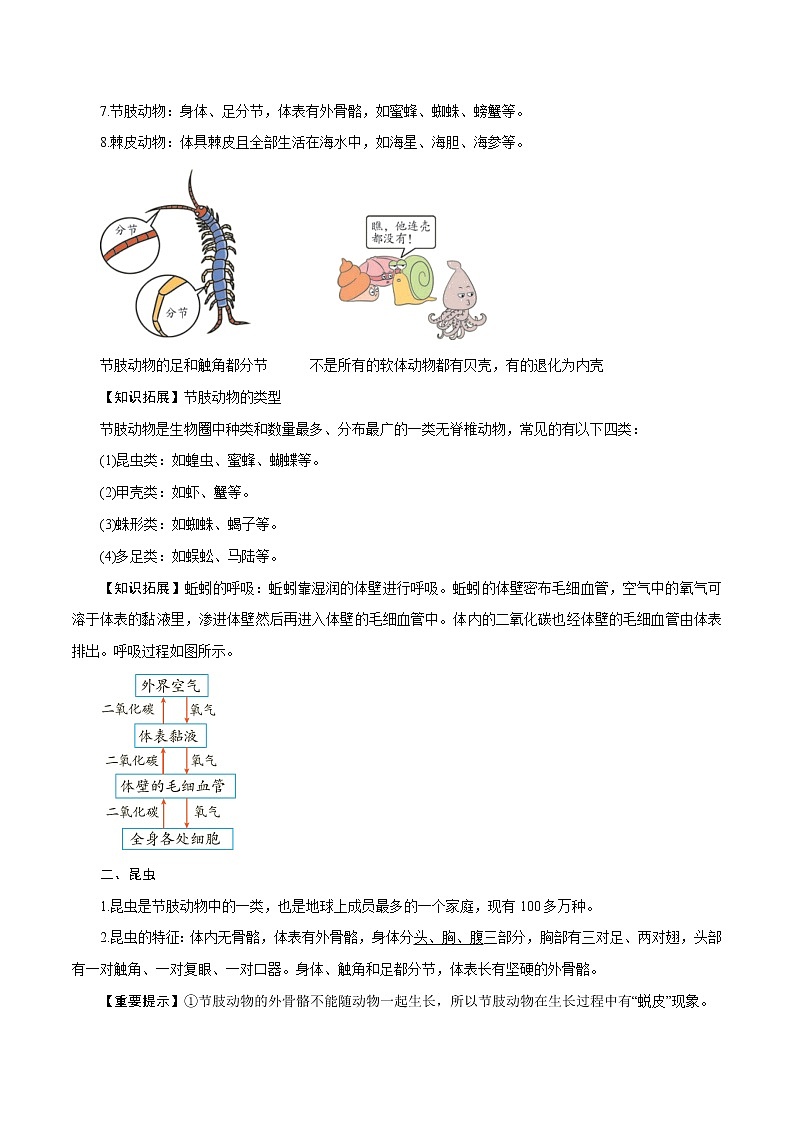 【精品讲义】浙教版 科学 7年级上册 2.4.3 常见的动物——无脊椎动物（教师版+学生版）02