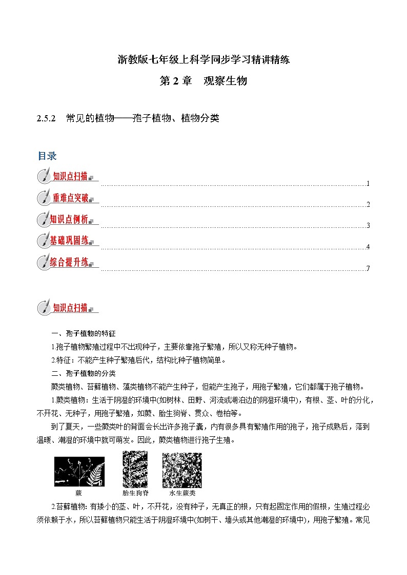 【精品讲义】浙教版 科学 7年级上册 2.5.2 常见的植物——孢子植物、植物分类（教师版+学生版）01