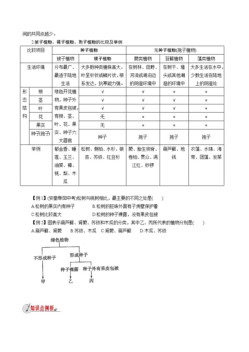 【精品讲义】浙教版 科学 7年级上册 2.5.2 常见的植物——孢子植物、植物分类（教师版+学生版）03