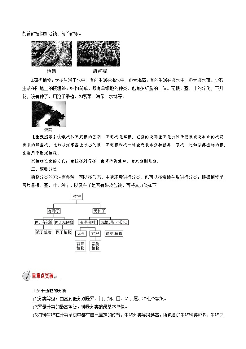 【精品讲义】浙教版 科学 7年级上册 2.5.2 常见的植物——孢子植物、植物分类（教师版+学生版）02
