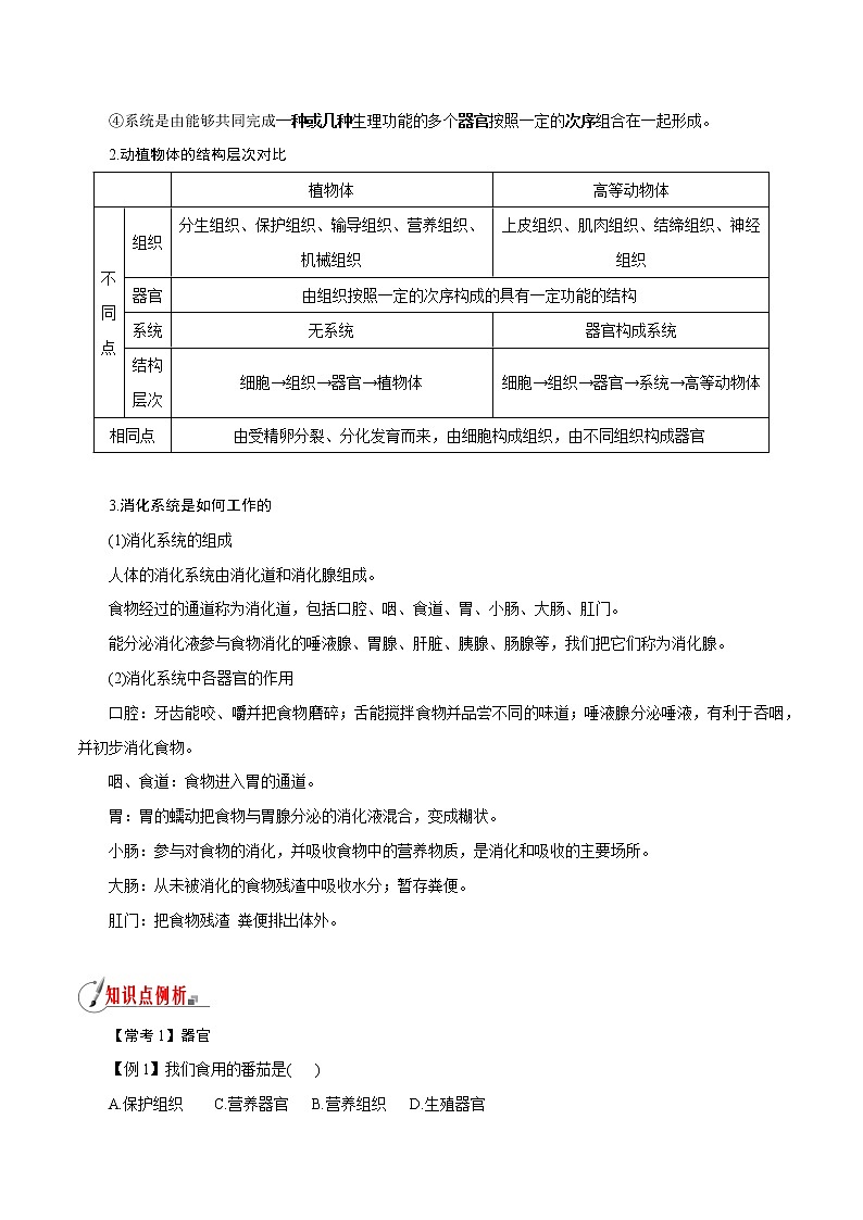 【精品讲义】浙教版 科学 7年级上册 2.3.3 生物体的结构层次——器官、系统以及生物体的结构层次（教师版+学生版）03