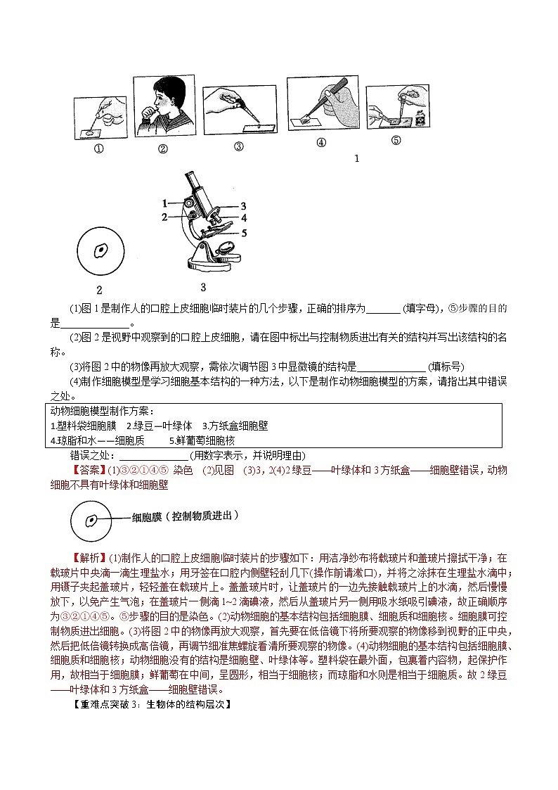 【精品讲义】浙教版 科学 7年级上册 第02章 观察生物（复习课）（教师版+学生版）03