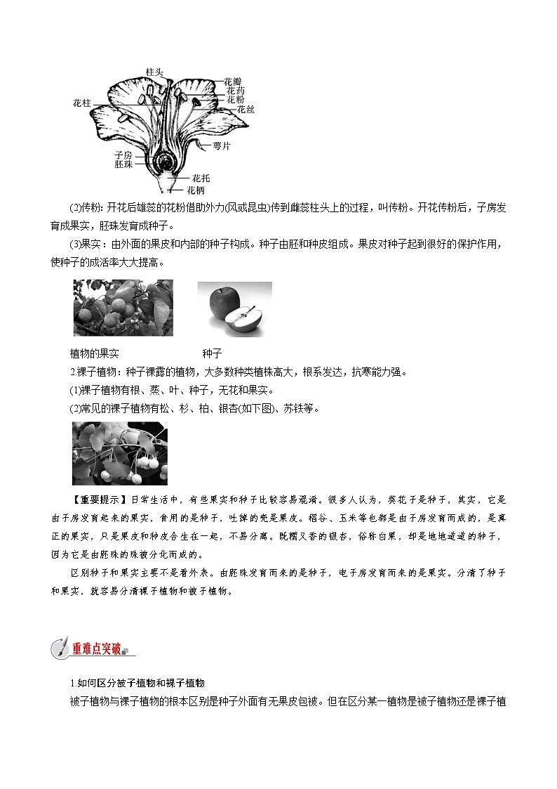 【精品讲义】浙教版 科学 7年级上册 2.5.1 常见的植物——种子植物（教师版+学生版）02