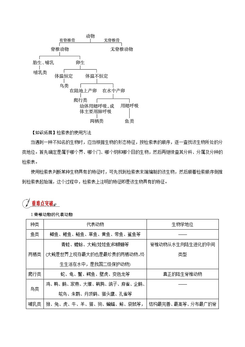 【精品讲义】浙教版 科学 7年级上册 2.4.2 常见的动物——常见的脊椎动物　检索表（教师版+学生版）03