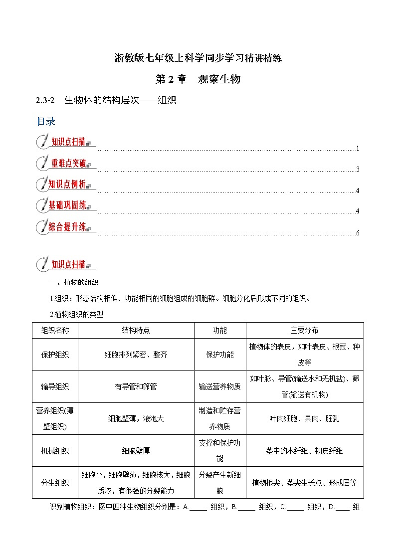 【精品讲义】浙教版 科学 7年级上册 2.3.2 生物体的结构层次——组织（教师版+学生版）01