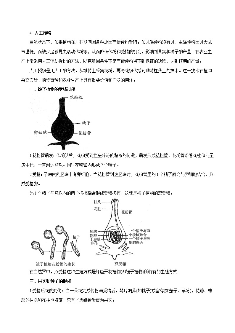 【精品讲义】浙教版 科学 7年级下册 1.5.1 植物生殖方式的多样性——被子植物的有性生殖（教师版+学生版）02