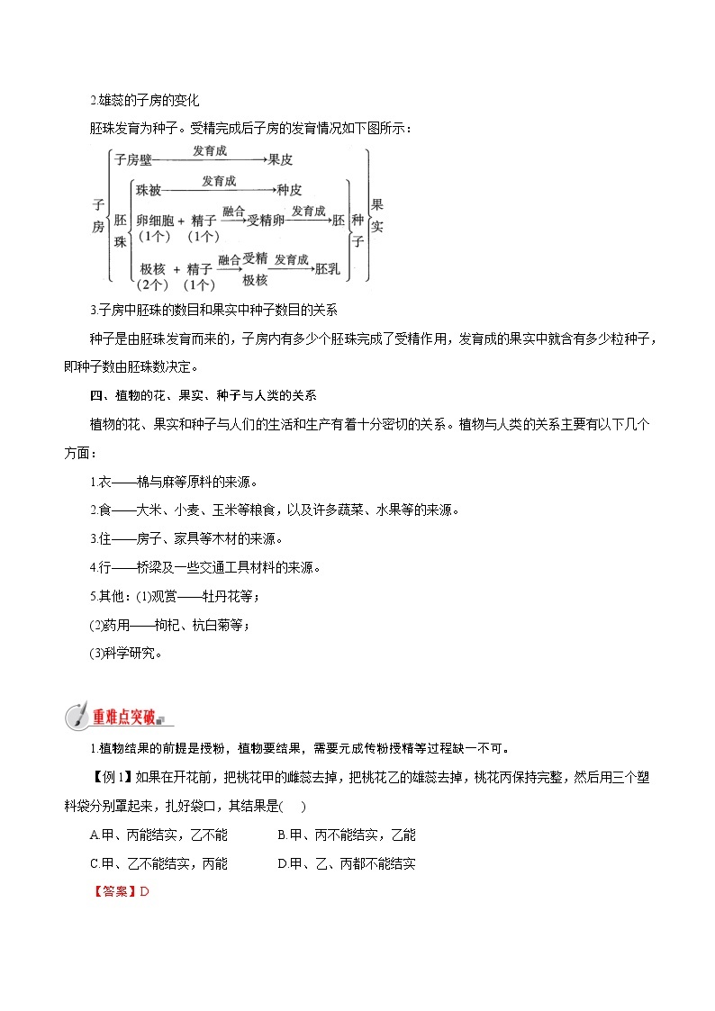 【精品讲义】浙教版 科学 7年级下册 1.5.1 植物生殖方式的多样性——被子植物的有性生殖（教师版+学生版）03