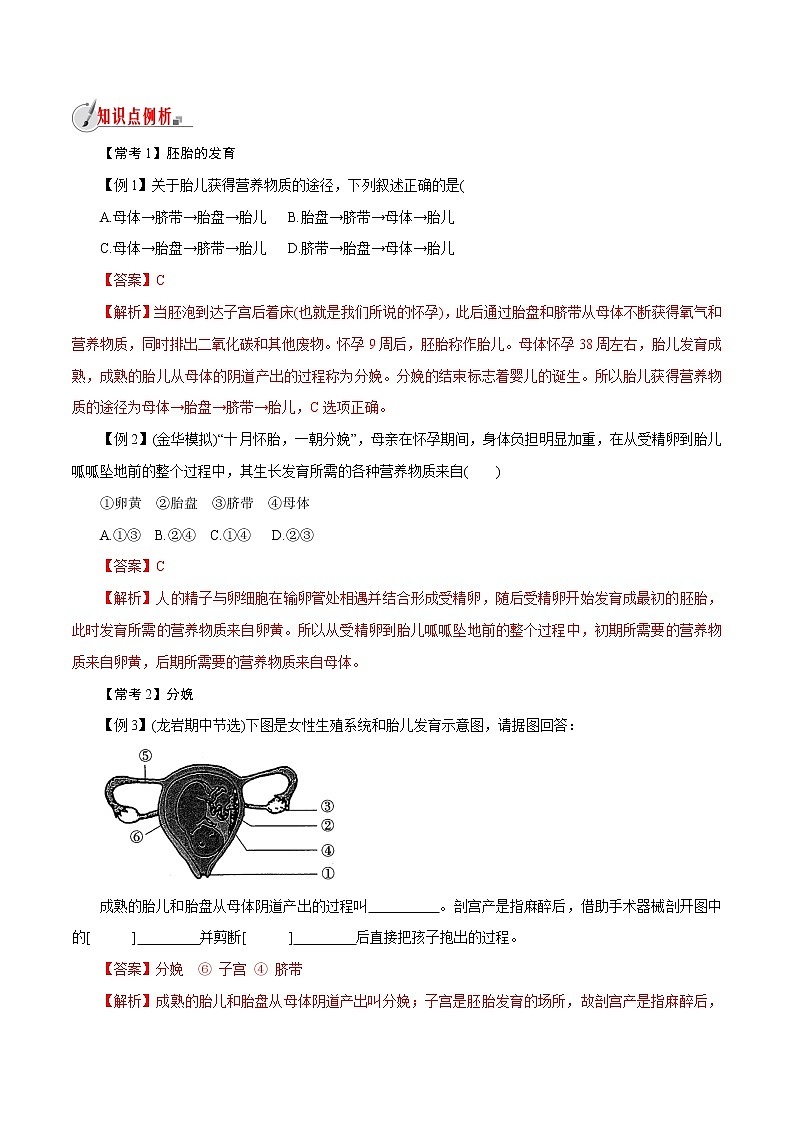 【精品讲义】浙教版 科学 7年级下册 1.1.2 新生命的诞生——胚胎的发育、分娩和养育（教师版+学生版）03