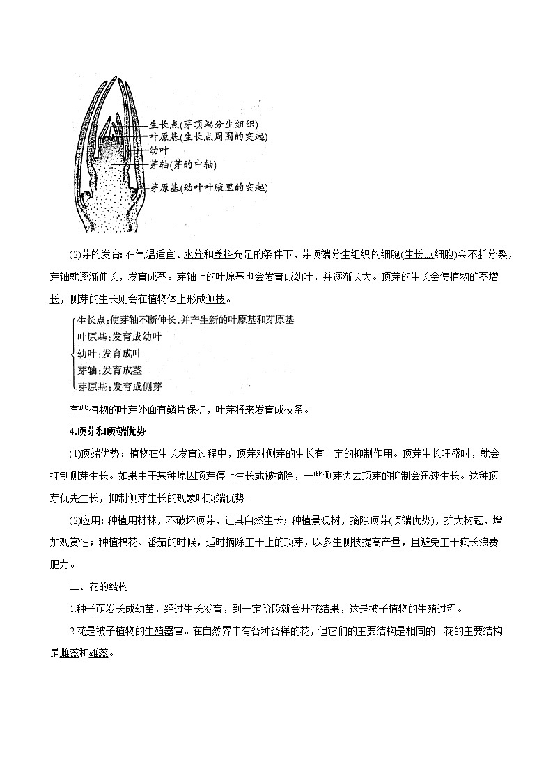 【精品讲义】浙教版 科学 7年级下册 1.4.2 芽的发育和花的结构（教师版+学生版）02