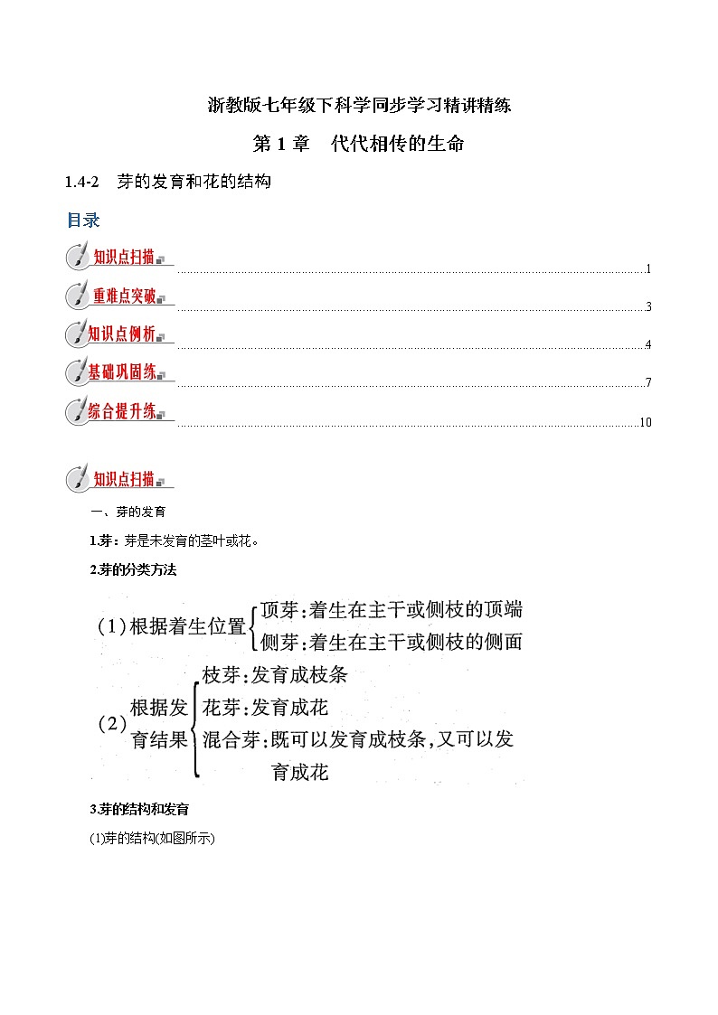 【精品讲义】浙教版 科学 7年级下册 1.4.2 芽的发育和花的结构（教师版+学生版）01