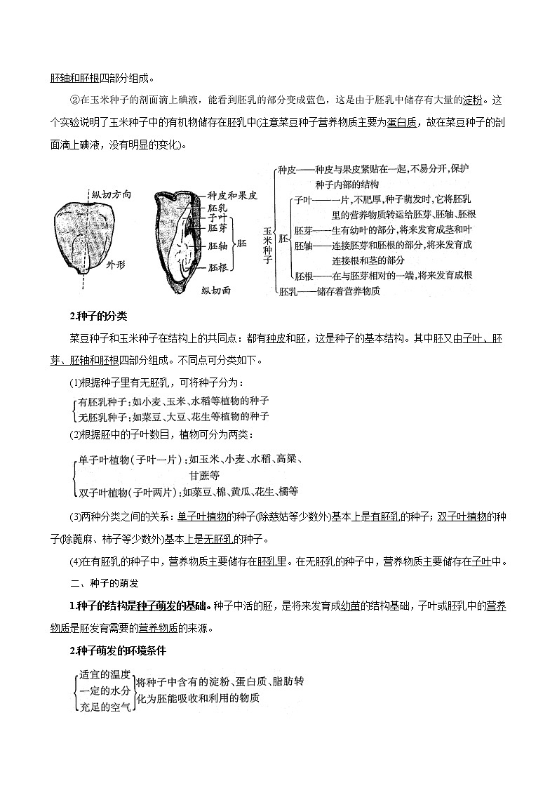 【精品讲义】浙教版 科学 7年级下册 1.4.1 植物的一生——种子的结构和萌发（教师版+学生版）02