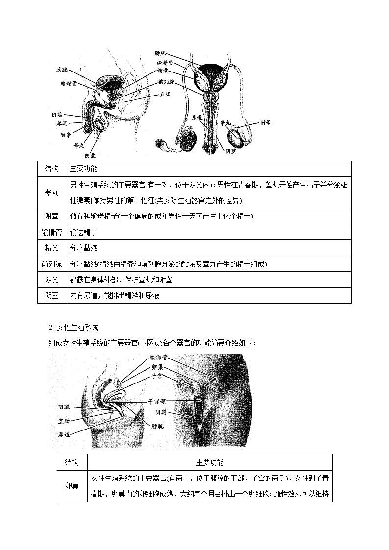 【精品讲义】浙教版 科学 7年级下册 1.1.1 新生命的诞生——人的生殖系统、受精和妊娠（教师版+学生版）02