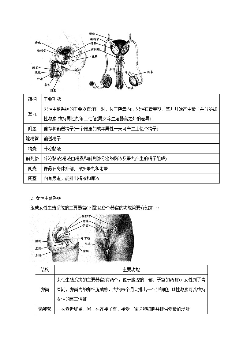 【精品讲义】浙教版 科学 7年级下册 1.1.1 新生命的诞生——人的生殖系统、受精和妊娠（教师版+学生版）02