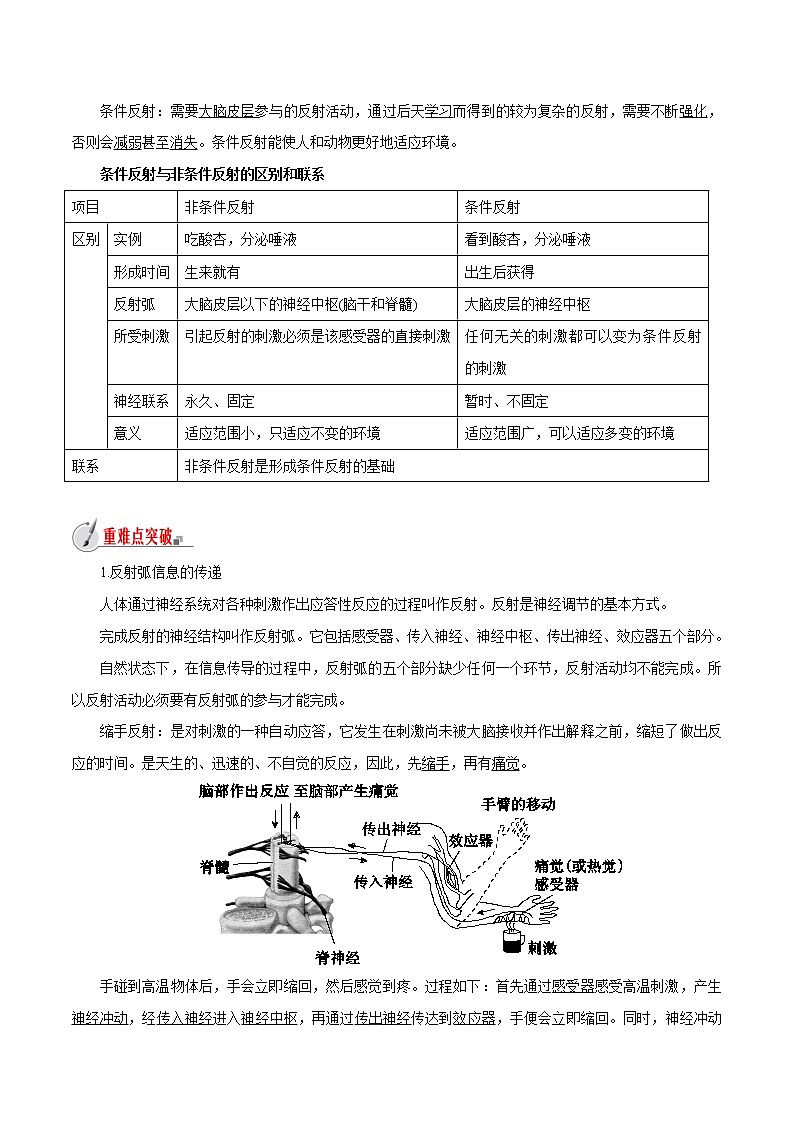 【精品讲义】浙教版 科学 8年级上册 3.3.2 神经调节——反射与反射弧（教师解析版+学生版）02