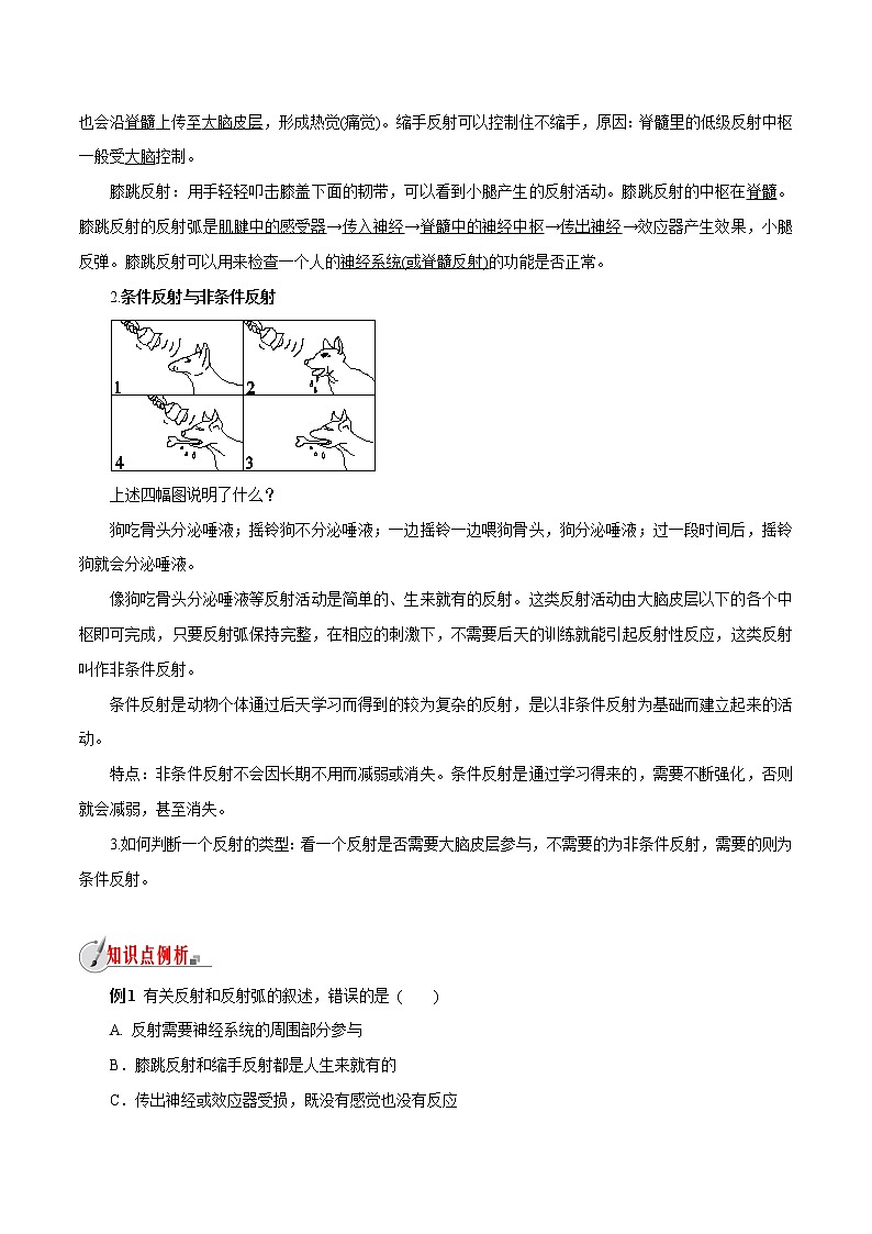 【精品讲义】浙教版 科学 8年级上册 3.3.2 神经调节——反射与反射弧（教师解析版+学生版）03