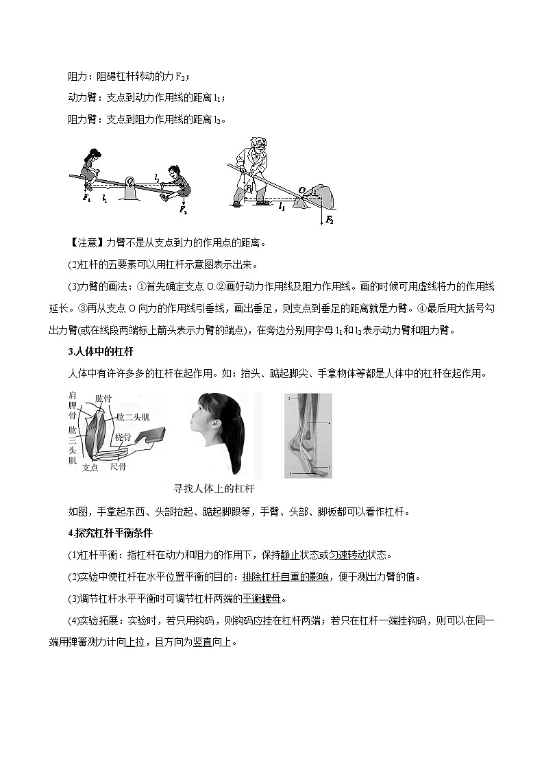 【精品讲义】浙教版 科学 9年级上册 3.4.1 简单机械——杠杆及其平衡条件、杠杆应用02