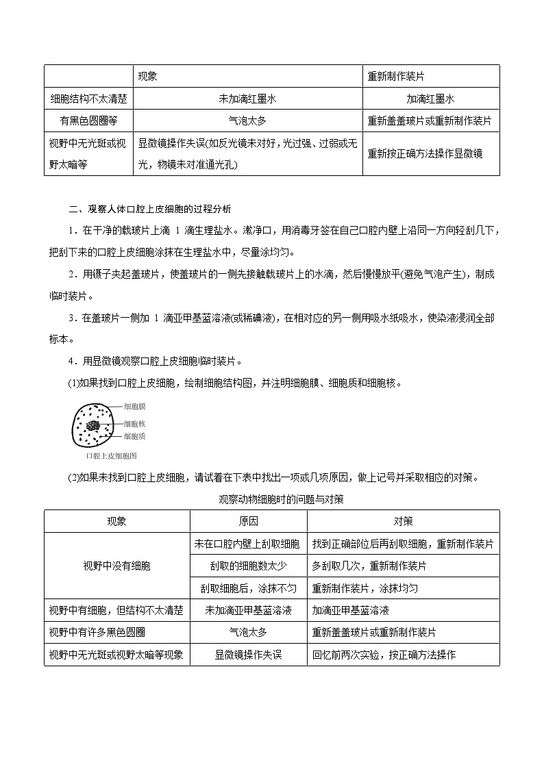 【精品讲义】浙教版 科学 7年级上册 2.2.3 细胞——观察细胞（教师版+学生版）03