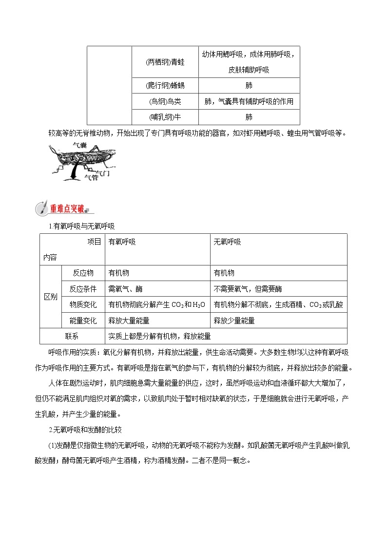 【精品讲义】浙教版 科学 9年级上册 4.4 能量的获得03